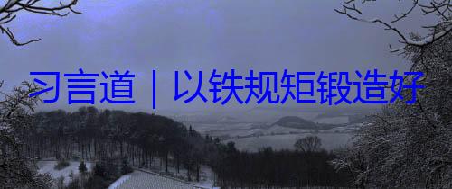 铁规矩锻造好作风习言道以