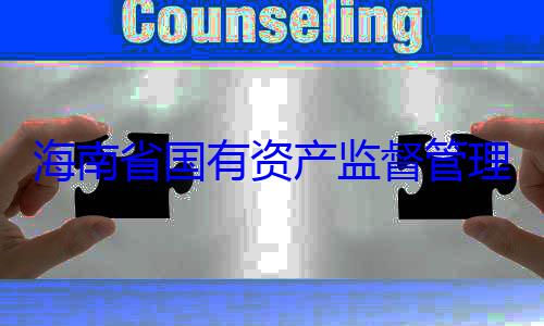 委副书记王理委员会党资产监督管海南省国有有福接受审查调查