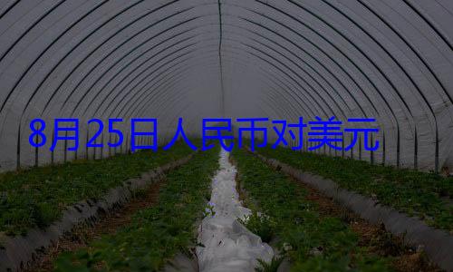 点160个基8月25日元中间价报1元 上调人民币对美
